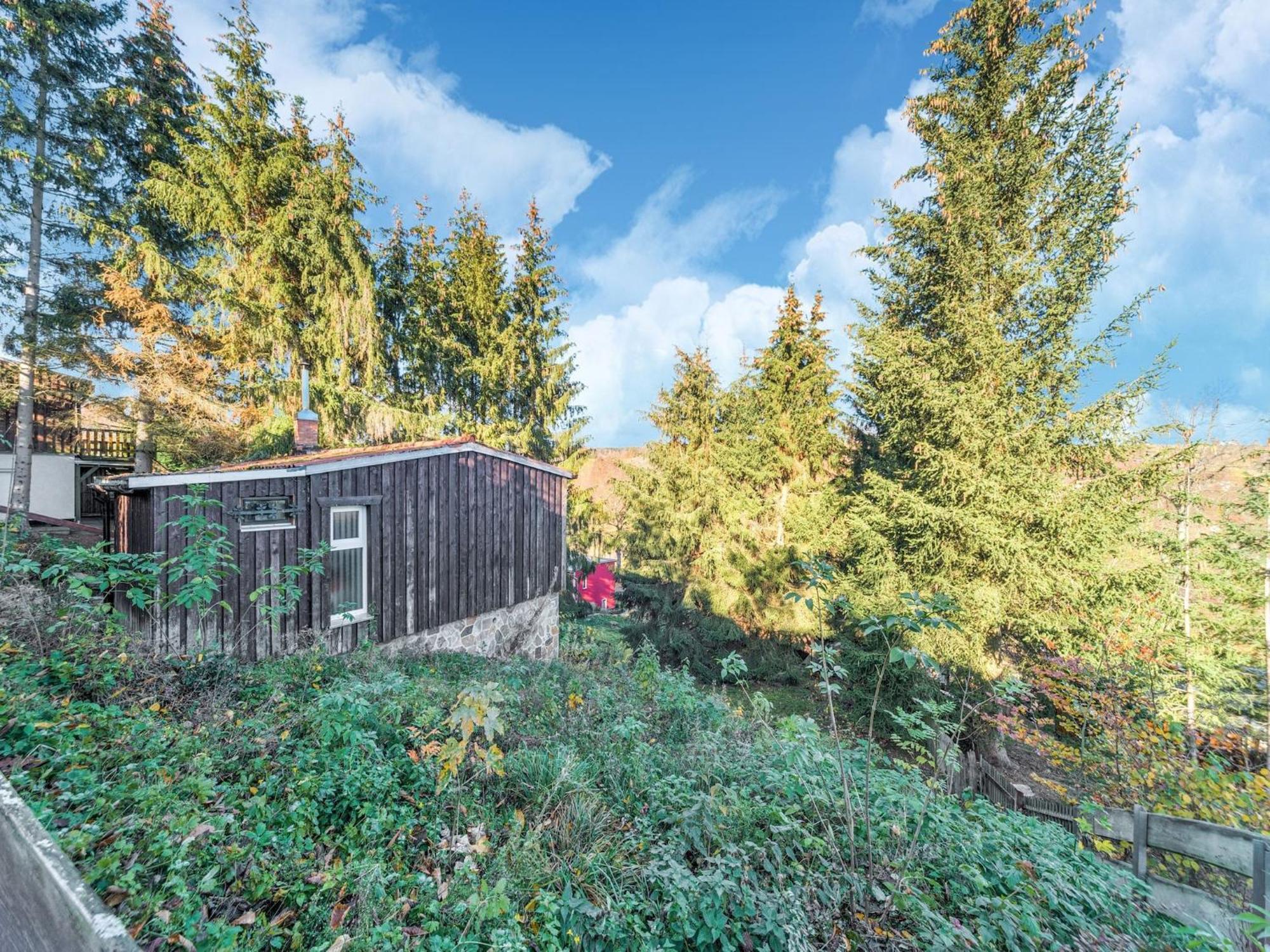 Comely Holiday Home In G Ntersberge Near Forest Güntersberge Exteriör bild