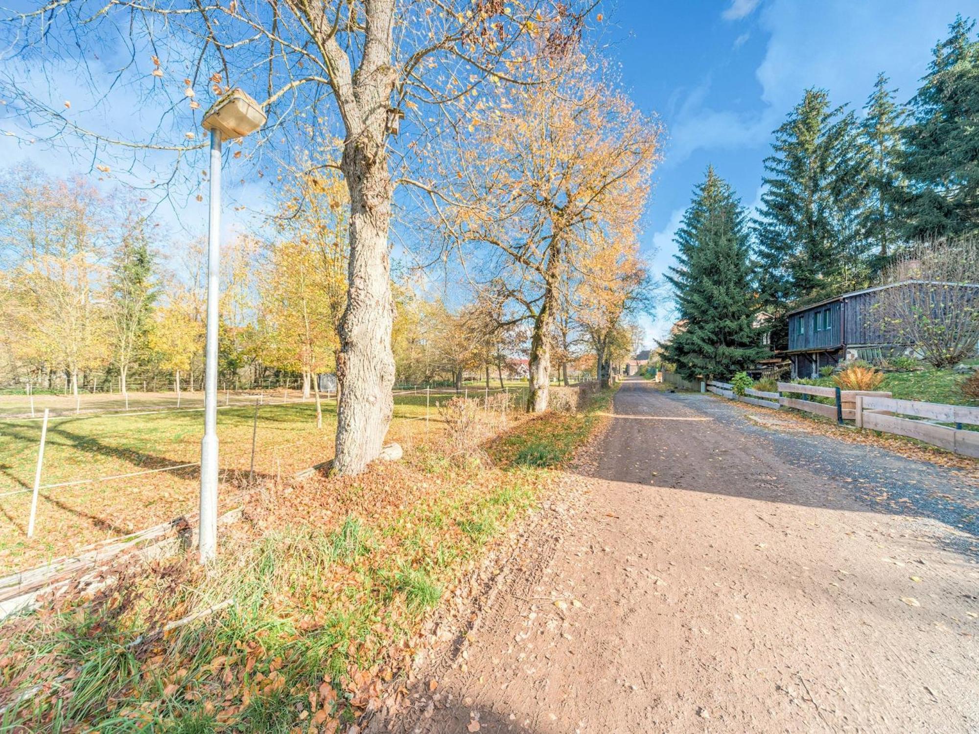 Comely Holiday Home In G Ntersberge Near Forest Güntersberge Exteriör bild